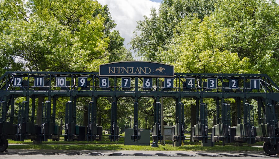 Keeneland's Starting Gate